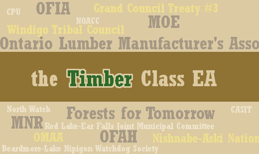 Timber Management Class EA