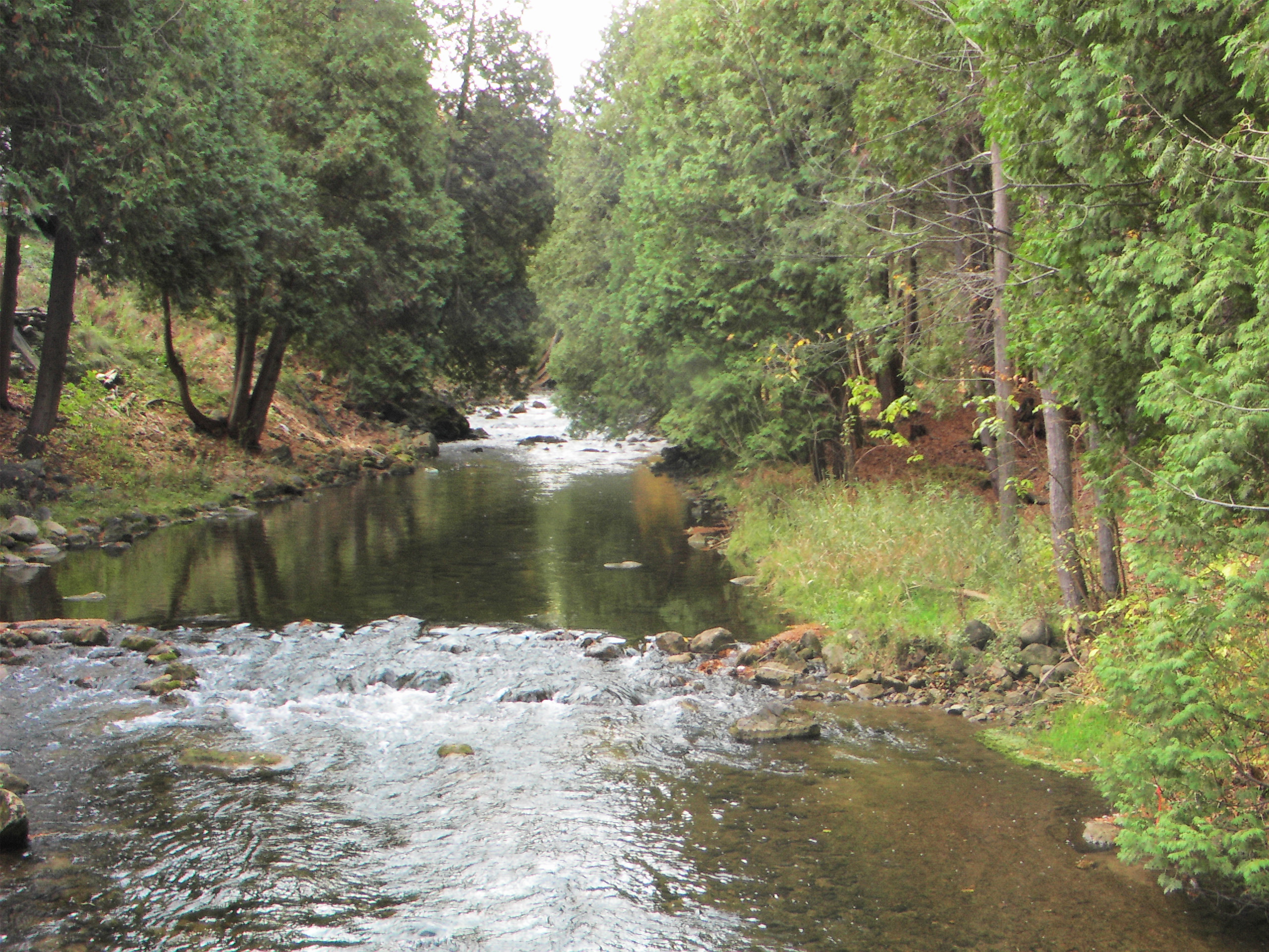 The Genesis of Environmental Protection in Ontario