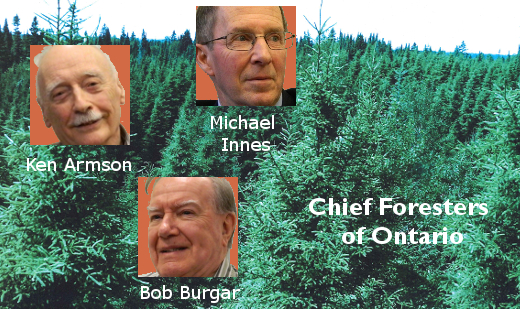Chief Foresters of Ontario